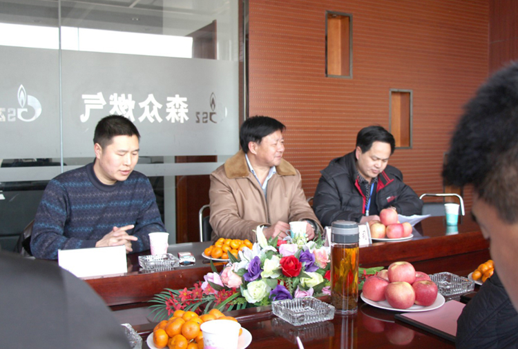林口县政府与青岛明辉互联网咨询服务有限公司燃气项目洽谈.png